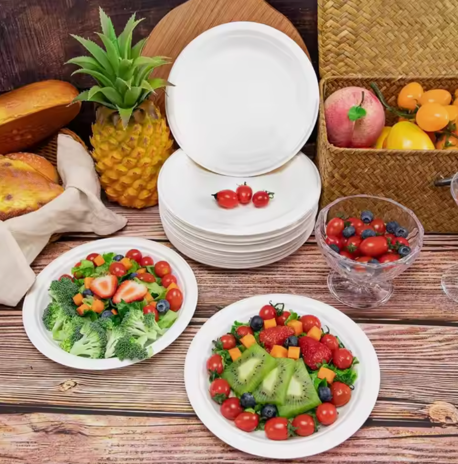 Andus Compostable Disposable Paper Plates