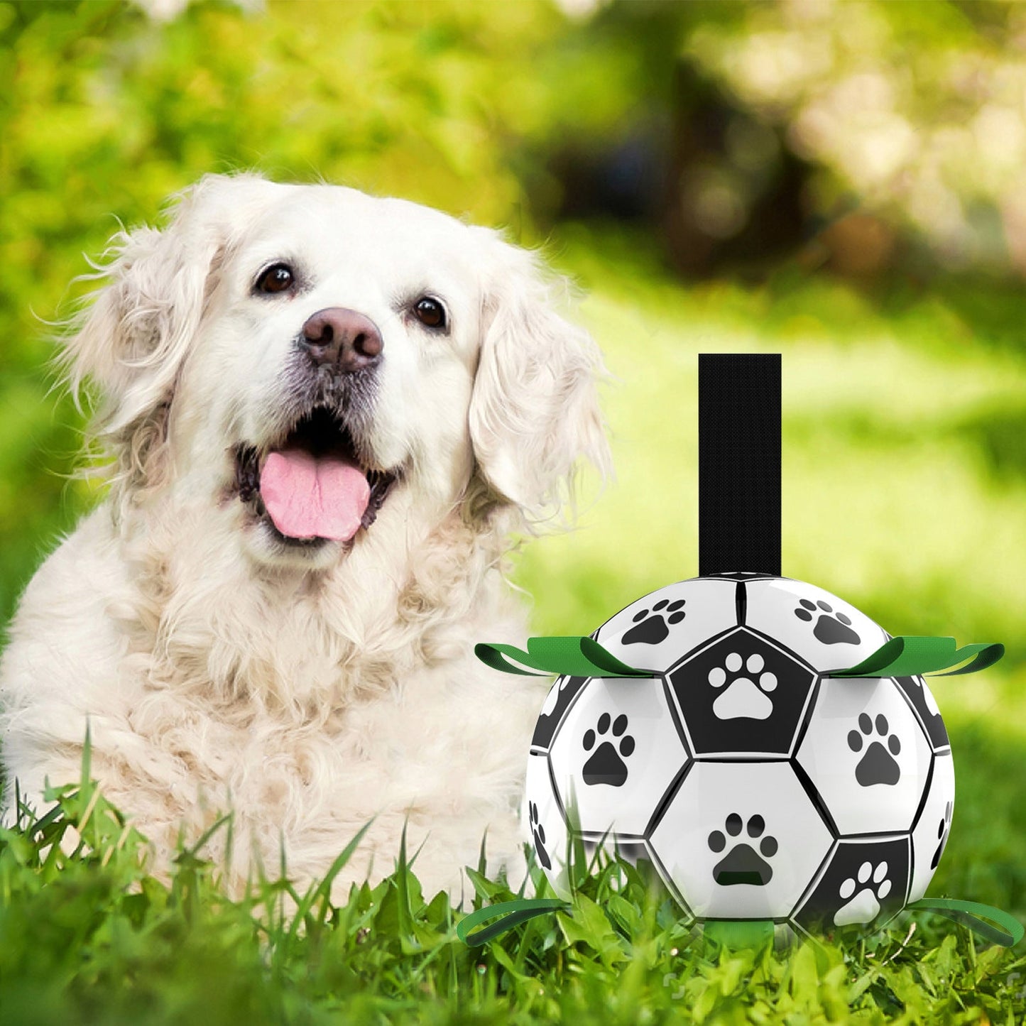 Pet Supplies Galore Interactive Dog Soccer Ball