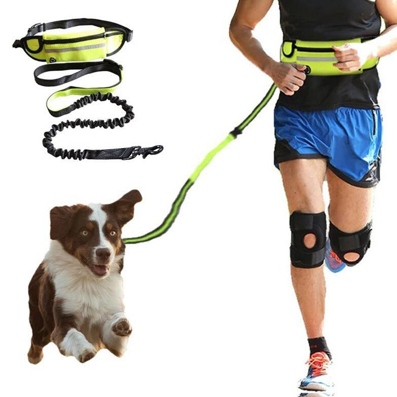 Pet Supplies Galore Hands-Free Running Dog Leash
