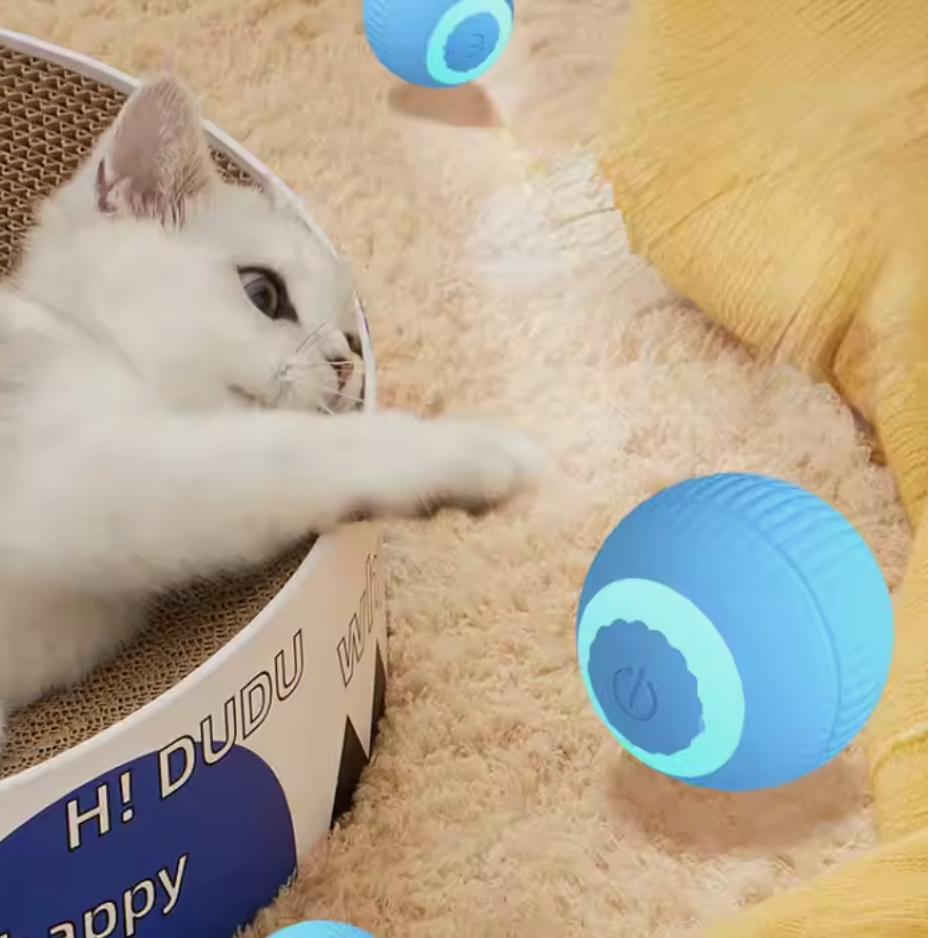 Andus Interactive Ball Toys for pet