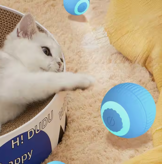 Andus Interactive Ball Toys for pet