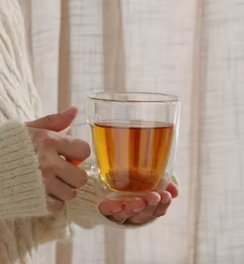 Andus Microwave-Safe Double Wall Tea Cup with Handle Type