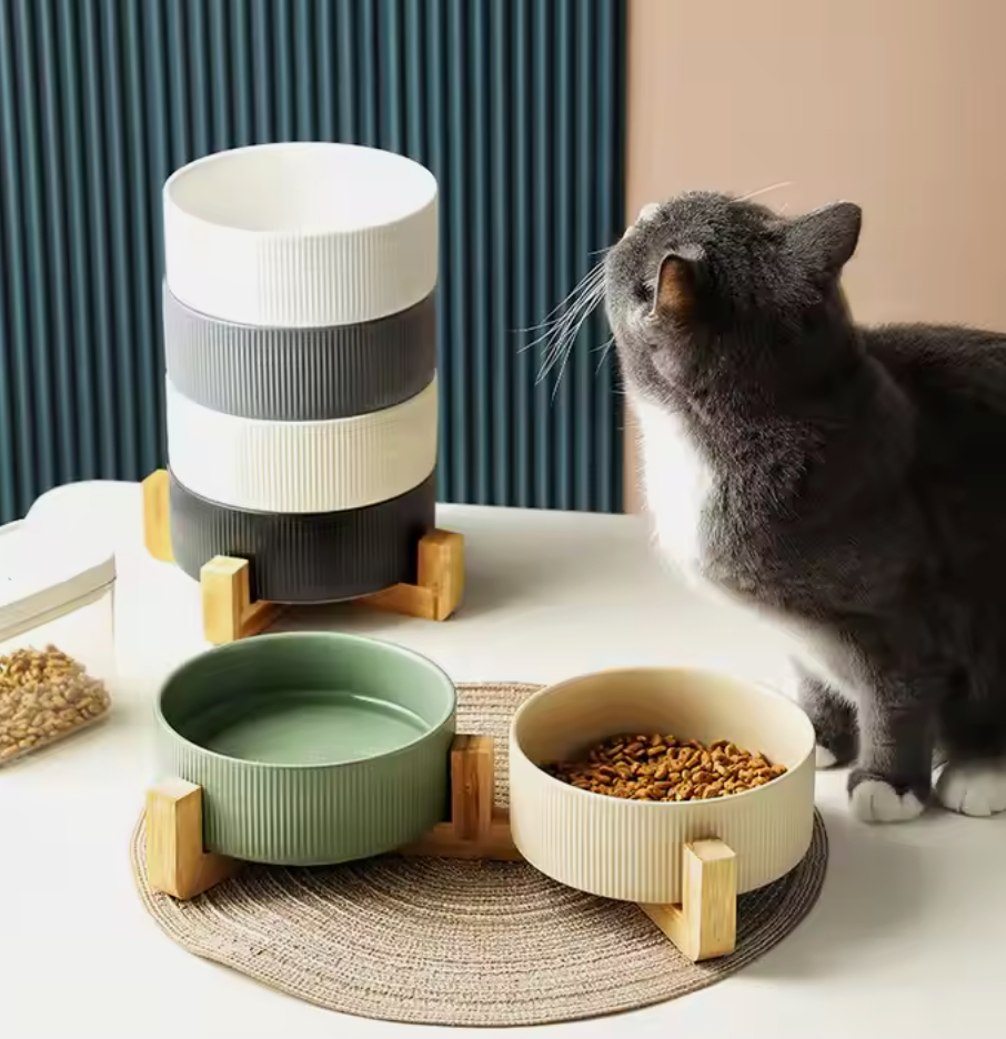 Andus Ceramic cat dog bowls