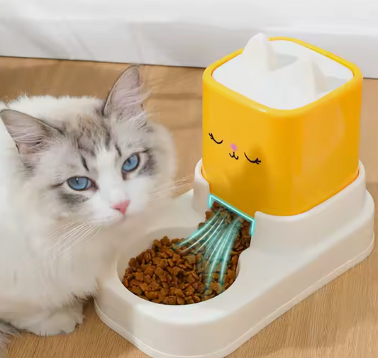 Andus Automatic Cat Feeder and Water Feeder