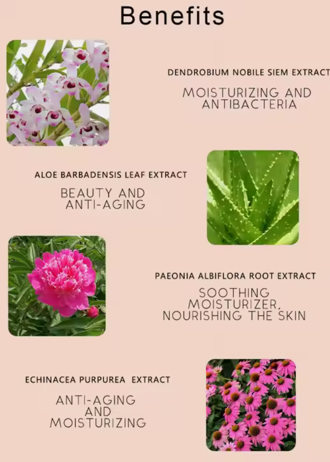 Andus Aloe Pomegranate Moisturizer Face Cream Make Up Base Facial Liquid Gel Face Makeup Primer