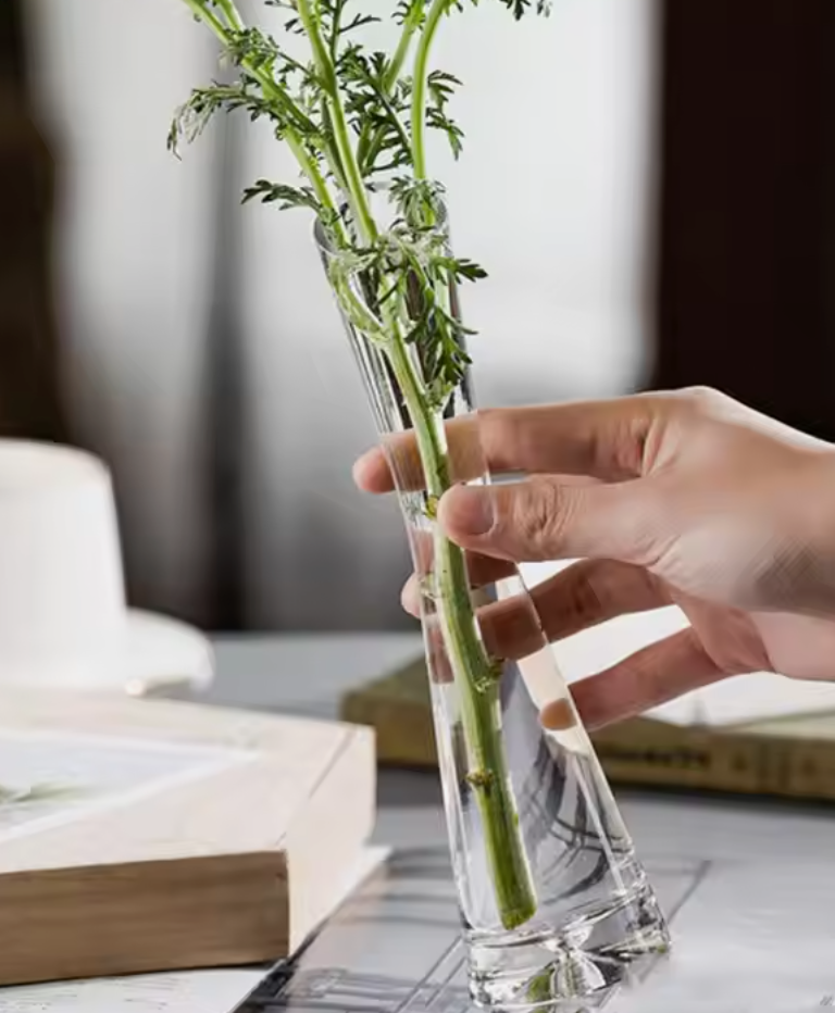 Andus Vase Slender Waist Minimalist style wedding Living Room Home Decoration Modern Clear Glass Table Vase