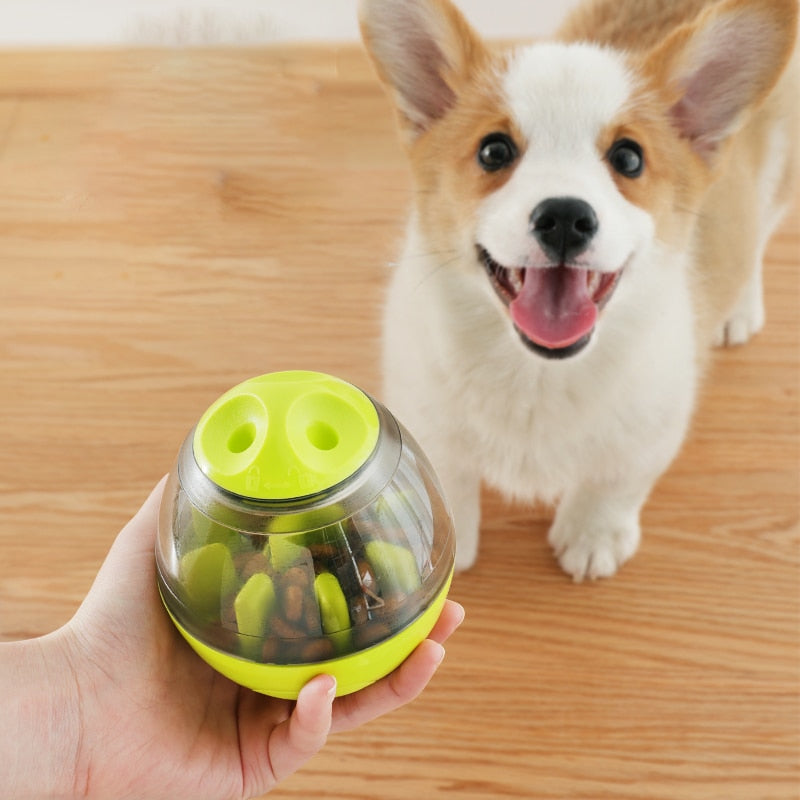 Pet Supplies Galore Interactive IQ Treat Toy