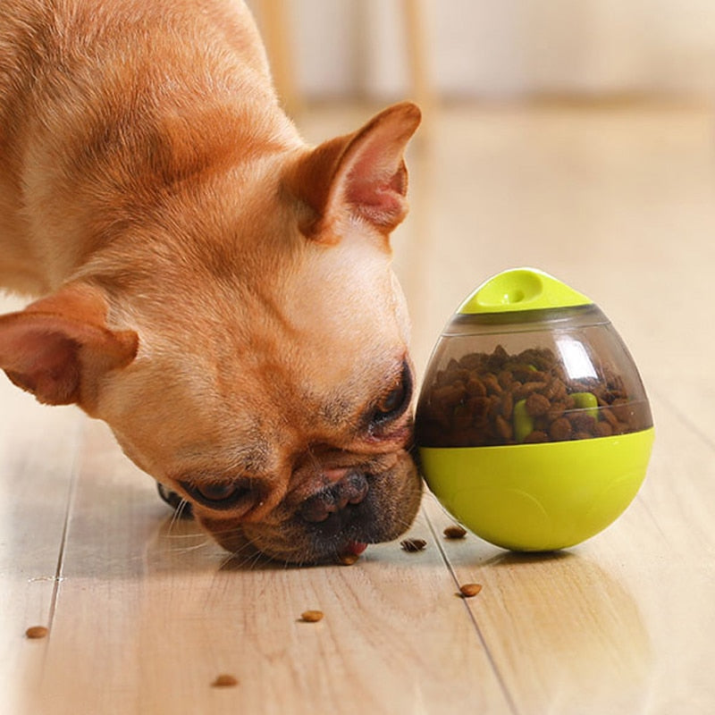Pet Supplies Galore Interactive IQ Treat Toy