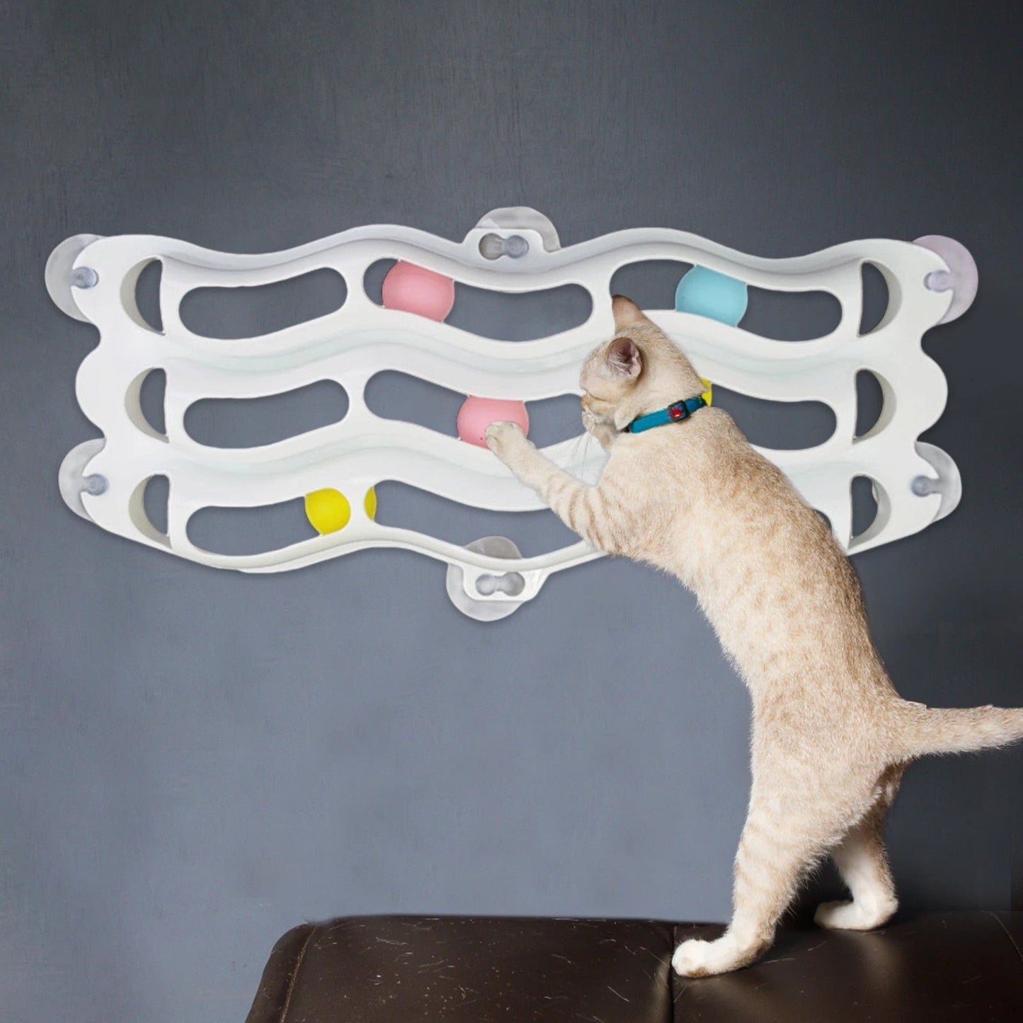 Pet Supplies Galore Window Sucker Cat Ball Toy